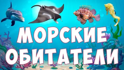 Фигурки животных для детей набор \"Морские обитатели\", 13 фигурок - купить с  доставкой по выгодным ценам в интернет-магазине OZON (585016258)