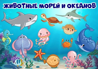 Морские животные для детей | Обитатели морей и океанов | развивающее видео  для малышей - YouTube