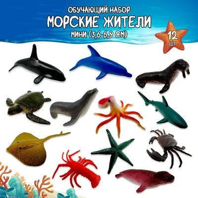 Картинки Морские обитатели для детей (39 шт.) - #2789