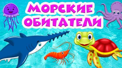 Найдите разных морских животных в каждом ряду. Логическая игра для детей  дошкольного возраста. - Ozero - российский фотосток