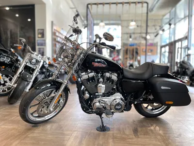 Мотоцикл Harley-Davidson V-Rod Muscle – цена, фото и характеристики нового мотоцикла  Харли-Дэвидсон 2024 модельного года