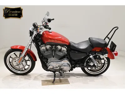 Дуги на мотоцикл Harley Davidson Sportster 04-г Crazy Iron - MORE-MOTO.RU
