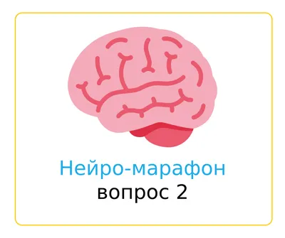 8 фактов о работе мозга ребенка (монолингвы и билингвы)