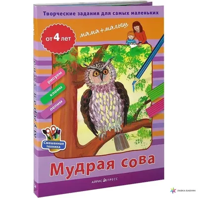 Статуэтка мудрая сова на книге 15 см (ID#776272063), цена: 105 ₴, купить на  Prom.ua