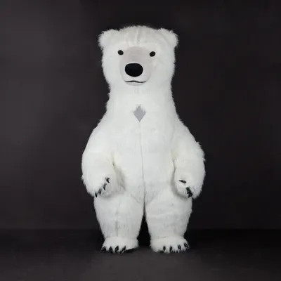 Мультяшный медведь для Cinema 4D 3D Модель $79 - .c4d - Free3D