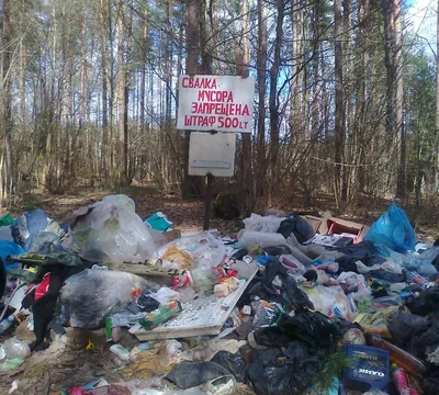 Очищаем лес от мусора — Управление лесного хозяйства Липецкой области