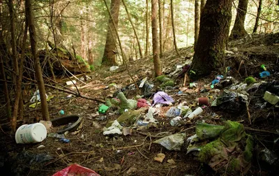Чистый лес. Продолжение уборки свалок мусора в лесу | Пикабу