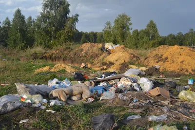 Несколько детей убирают мусор в …» — создано в Шедевруме