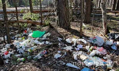 Минус 500 литров мусора в лесу. | Пикабу