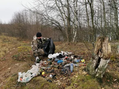 Никто не видит в лесу, я туда мусор отвезу - Районная газета «Прыпяцкая  праўда»