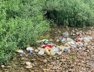 Картинки мусора в природе фотографии