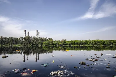 В природе разбросанная мусор. Горы мусора, загрязняя природу. Москва-  Россия может 10 2020 Редакционное Фото - изображение насчитывающей  ландшафт, гловально: 180188821