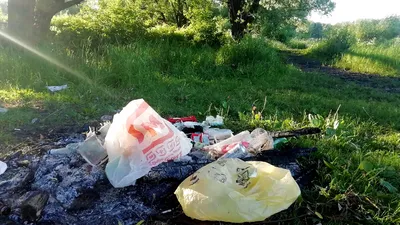 За выкинутый на природе мусор в Казахстане начнут штрафовать с 25 июля