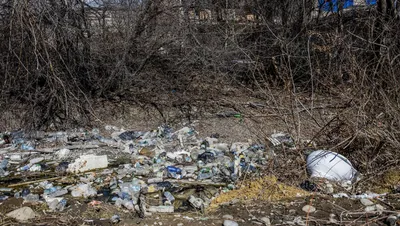 сбор мусора в природе. молодой человек собирает пластиковый мусор в летнем  лесу Стоковое Фото - изображение насчитывающей персона, трава: 220911218