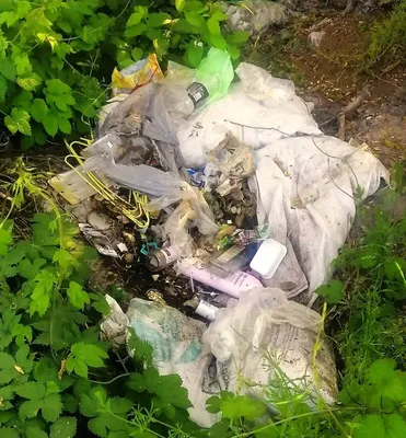 Круговорот мусора: в природе или в голове? — Городская газета