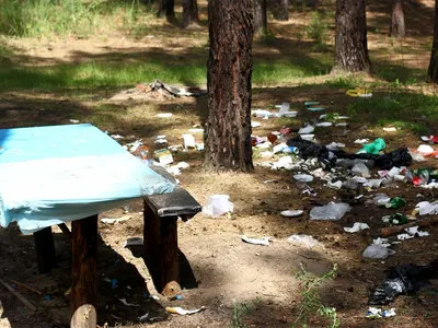 Очередной любитель мусорить на природе вычислен и убрал за собой свалку в  Пинском районе — PINSKNEWS.BY