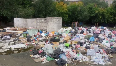 Разборки из-за мусора. Регоператор «Природа» обвиняет мэрию Бузулука в  бездействии