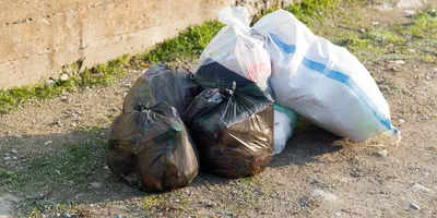 Тарифы на вывоз мусора в 2023 году: как определяются и что говорит закон