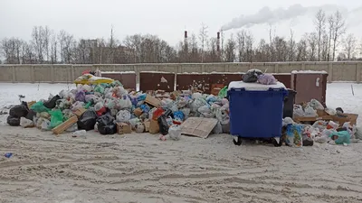 Ответственность за выброс мусора в чужой контейнер