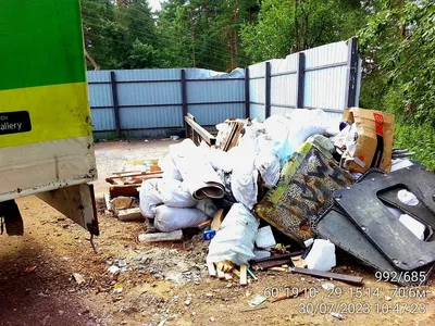 Их дом превратили в помойку: животные, живущие среди мусора - фото