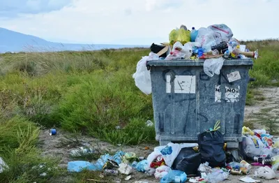 Куча мусора и бытовых отходов. Stock Photo | Adobe Stock