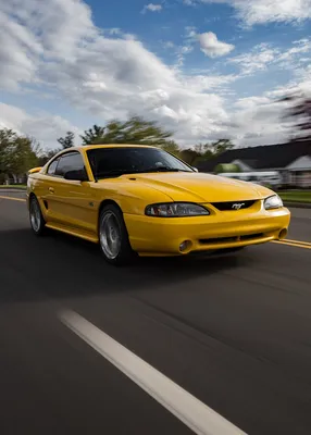 Ford Mustang емблема шильд значок Форд Мустанг (ID#1424989967), цена: 285  ₴, купить на Prom.ua