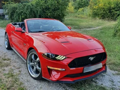 Скачать обои \"Мустанг (Mustang)\" на телефон в высоком качестве,  вертикальные картинки \"Мустанг (Mustang)\" бесплатно