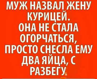 Я понял это намек, я все ловлю на лету | Пикабу