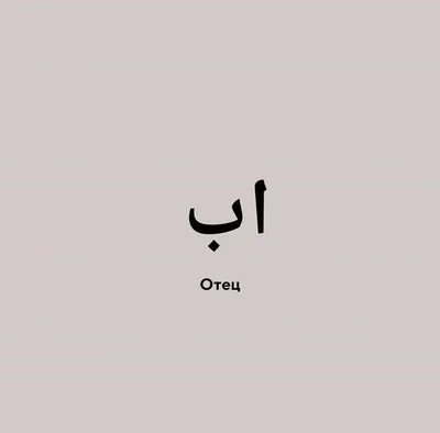 Любовное письмо на арабском｜Поиск в TikTok