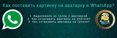 Картинки на аватарку в whatsapp фотографии