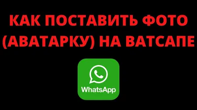 картинки на аватарку whatsapp｜Поиск в TikTok