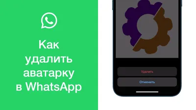 Цифровая версия себя\": в WhatsApp появились 3D-аватары