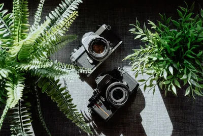 16 бесплатных инструментов для улучшения качество фото – Canva