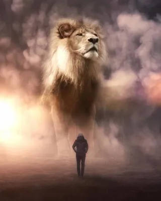 Львица целует льва фото красивые