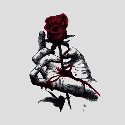 Маленькая красная роза, покрытая множеством капелек — Картинки на аву |  Красная роза, Розы, Дикие цветы