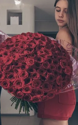 алкотаймс | Flower aesthetic, Dark red roses, Red roses wallpaper
