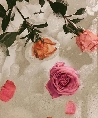 Картинки и фотки на аву розы красивые - подборка аватарок