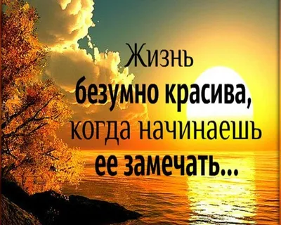 Сетевой аватар: что это такое и, что говорят психологи об авторах аватаров