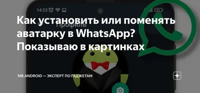 В WhatsApp появилась новая настройка аватаров в стиле Bitmoji | РБК Life