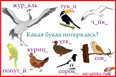 Обучение грамоте. Учим звуки и буквы. Альбом игровых упражнений для детей  4-5 лет, , Гном купить книгу 978-5-00160-394-8 – Лавка Бабуин, Киев, Украина