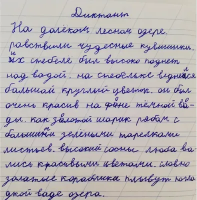 РАБОЧАЯ ТЕТРАДЬ Юлии Фишер «БУКВЫ» для детей 4-5 лет – купить за 800 руб |  Монтессори Кроха