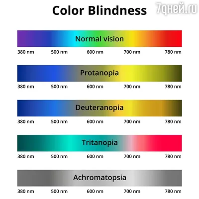 Берут ли с цветоаномалией в армию? | Берут ли с дальтонизмом на службу?