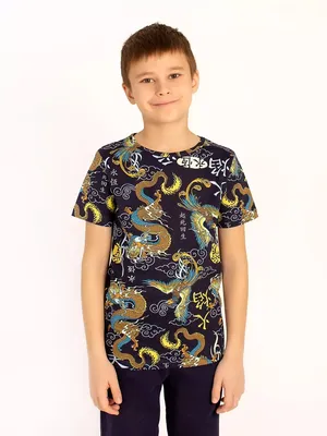 Детская футболка для мальчика \"Dragons\" арт. дк241тс — ТЦ РИО Иваново