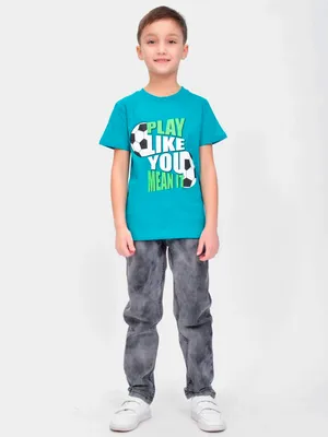 Детская футболка для мальчика FT-21-4-3 *Диноленд* - официальный интернет  магазин цены производителя Габби, Украина