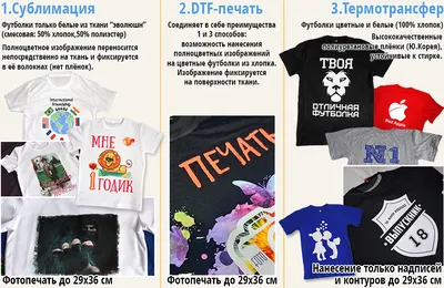Купить футболку MOE Базовая Реглан Черная в Москве недорого в  интернет-магазине LCLS.ru