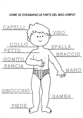Литерность руки дня освобождения Италии на итальянском языке изолированной  на белом. Итальянский праздник отмечают 25-ого апреля. Иллюстрация вектора  - иллюстрации насчитывающей рука, праздник: 213679508