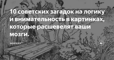 Загадки на логику для взрослых — сложные логические загадки с ответами