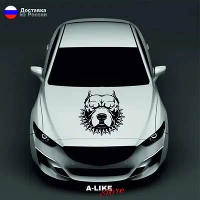 Автографика Наклейка \"Лев - Царь зверей\" на авто, на заднее стекло