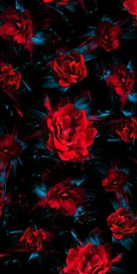 Обои для рабочего стола Текстура роза красная Цветы Много 600x800