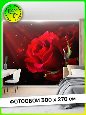 обои розы розовые цветы иллюстрация штока. иллюстрации насчитывающей листья  - 240229868